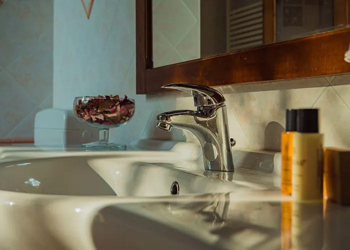 住宿加早餐酒店 Erika 卢戈